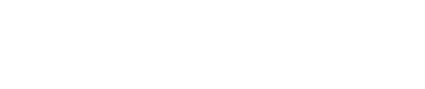 Logo PROMINIS